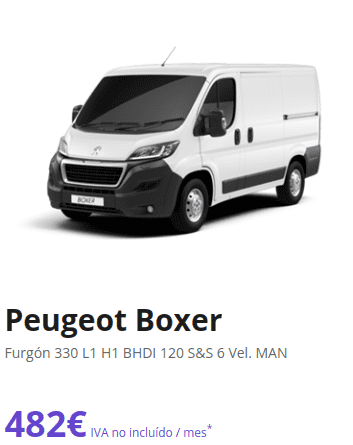 boxer